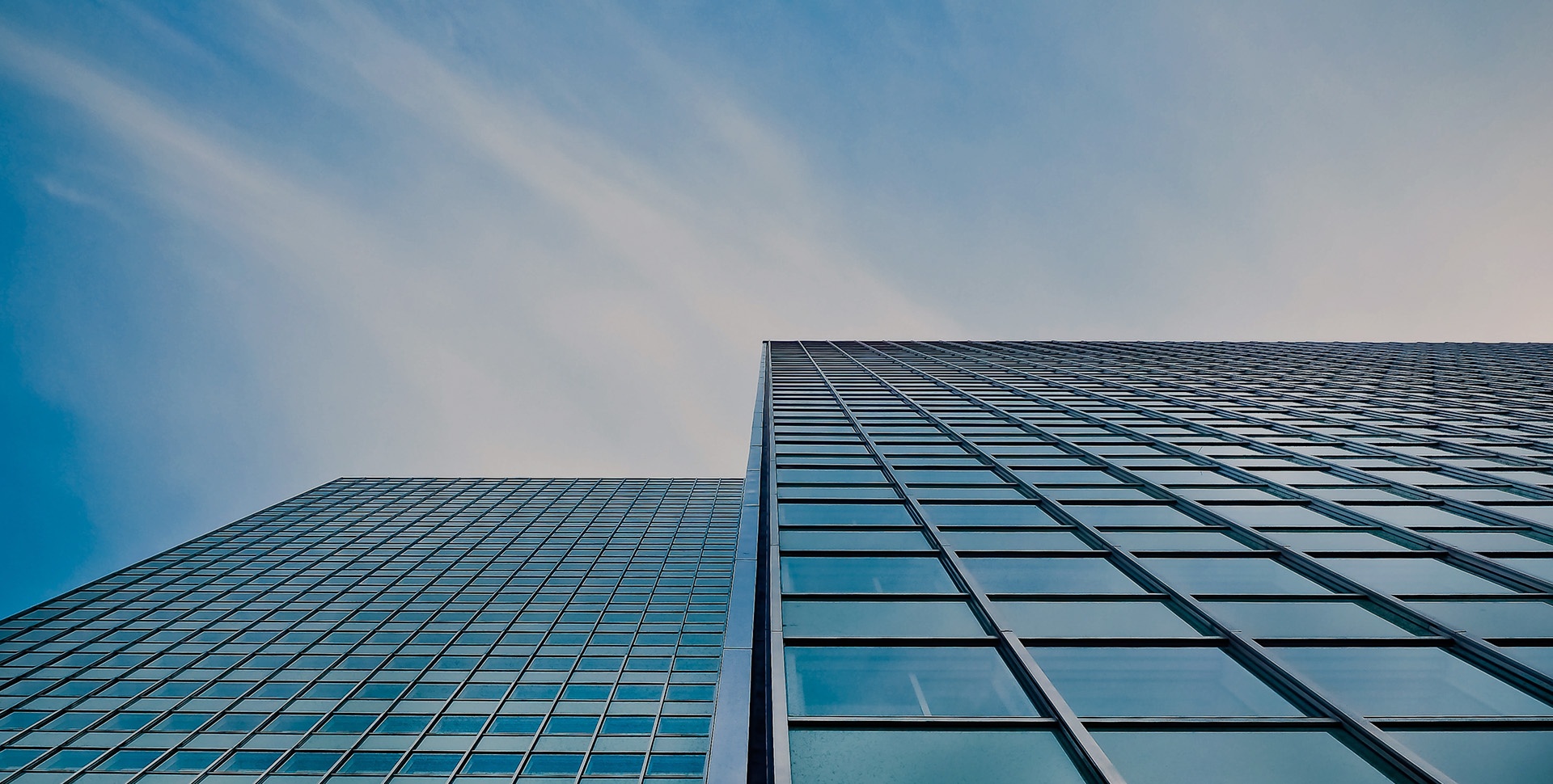 TIANNU PAINT BEAUTIFIES THE WORLD