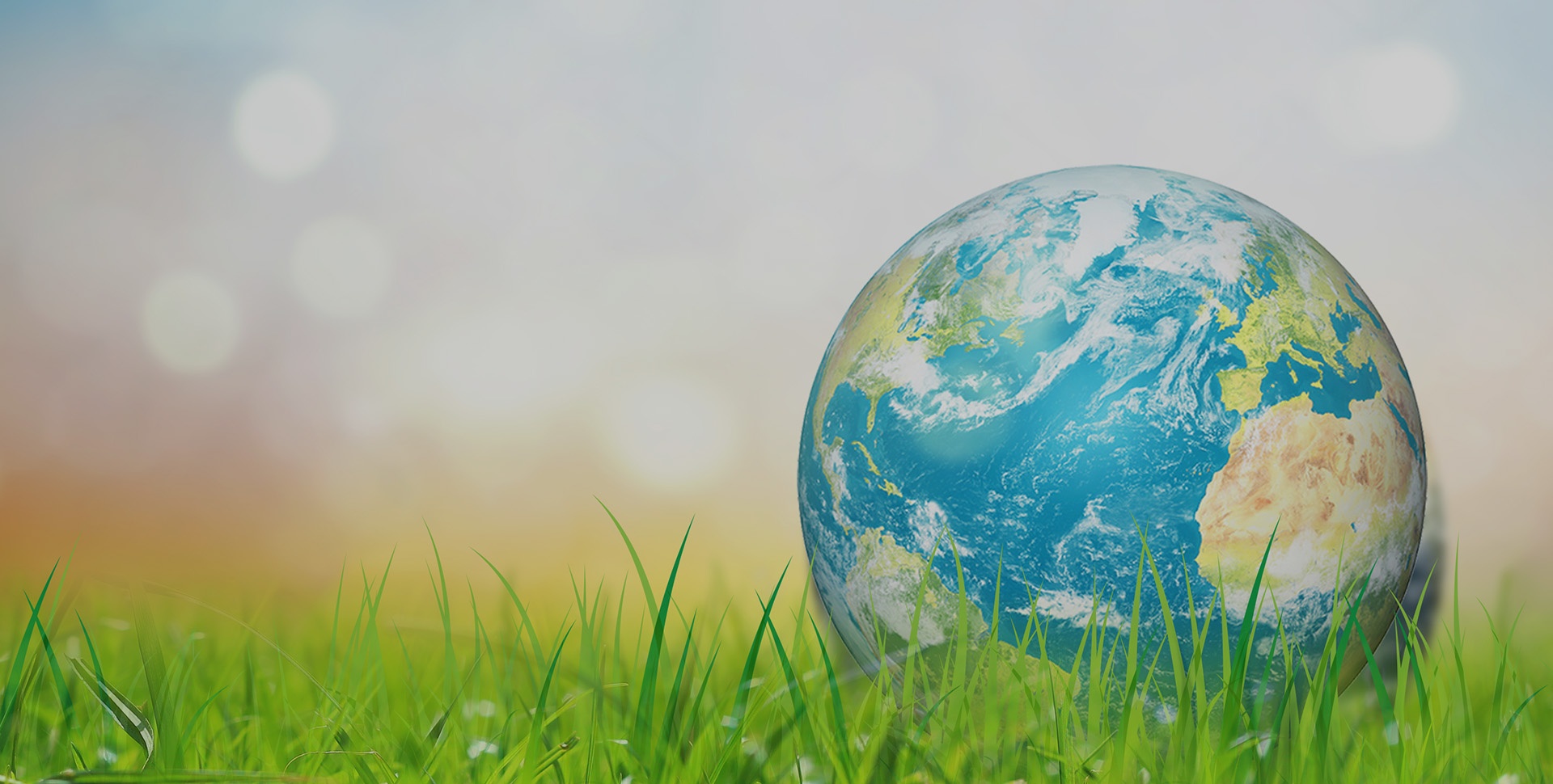 TIANNU PAINT BEAUTIFIES THE WORLD